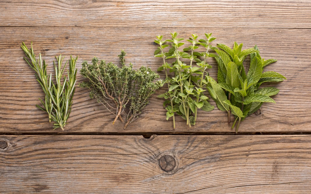 erbe-aromatiche erbe-aromatiche