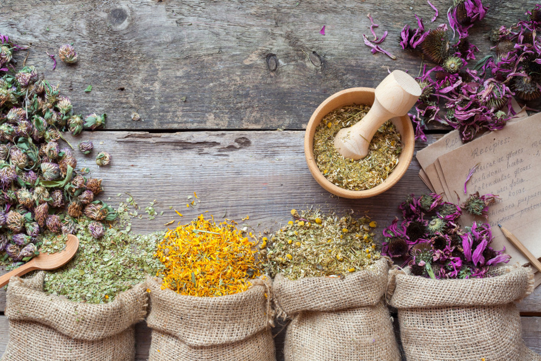 tisane antidolorifiche tisane antidolorifiche