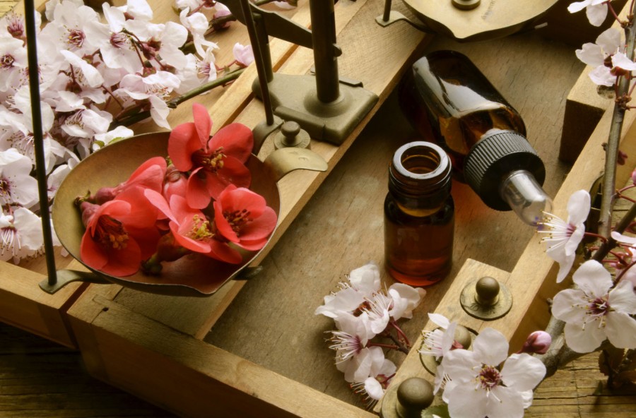 Fiori di Bach: l’autocura