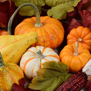 Zucca come riciclarla dopo Halloween Zucca come riciclarla dopo Halloween