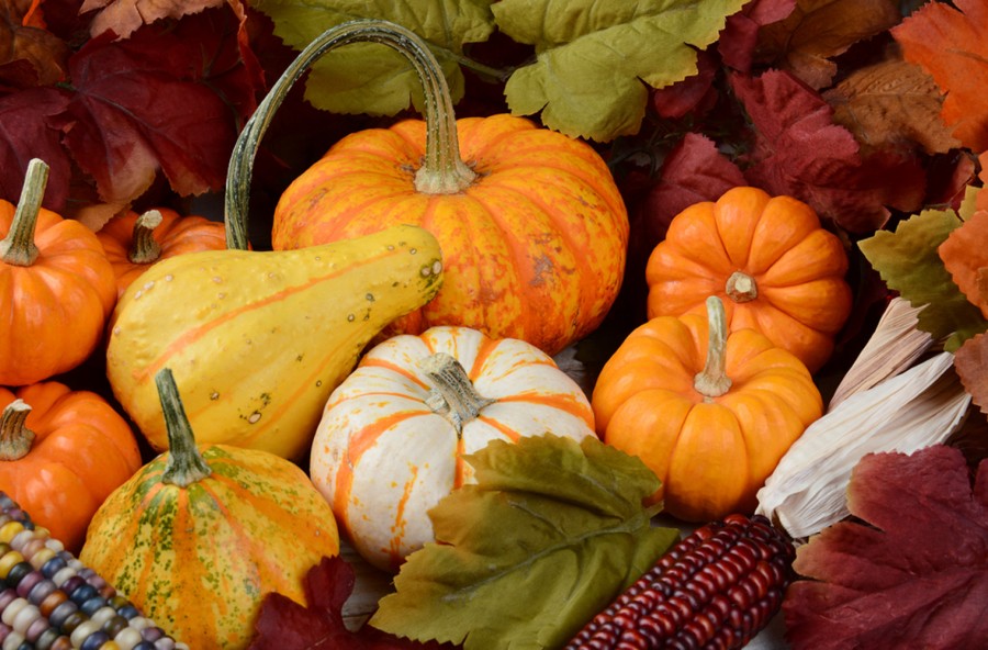 Zucca come riciclarla dopo Halloween Zucca come riciclarla dopo Halloween