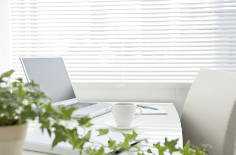 Piante in ufficio per stare meglio