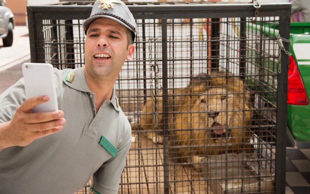 Checco Zalone Checco Zalone