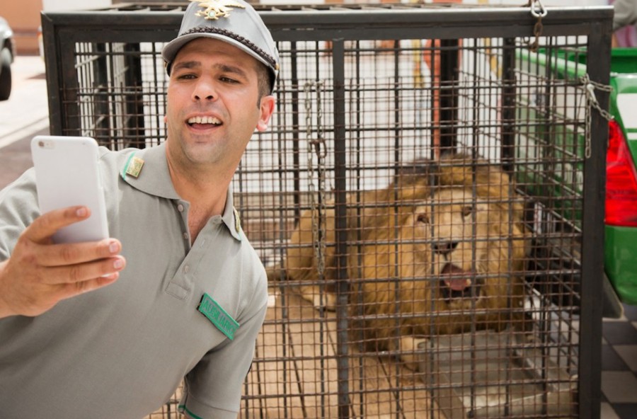 Checco Zalone: ecco perché ci piace!