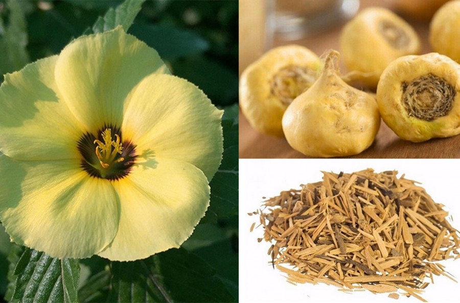 Afrodisiaci naturali: damiana, maca e muira puama, prova il tris vincente