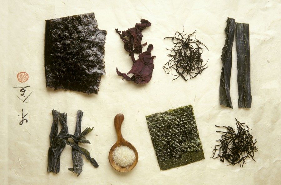 Alghe da mangiare? Sì, sono buone e fanno bene