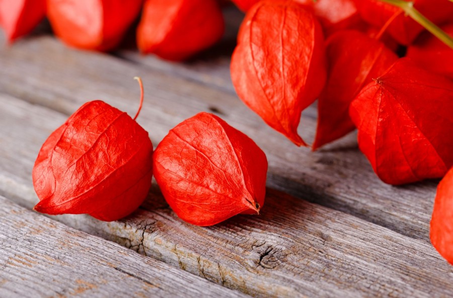 Superfood: un po’ alimenti, un po’ medicamenti