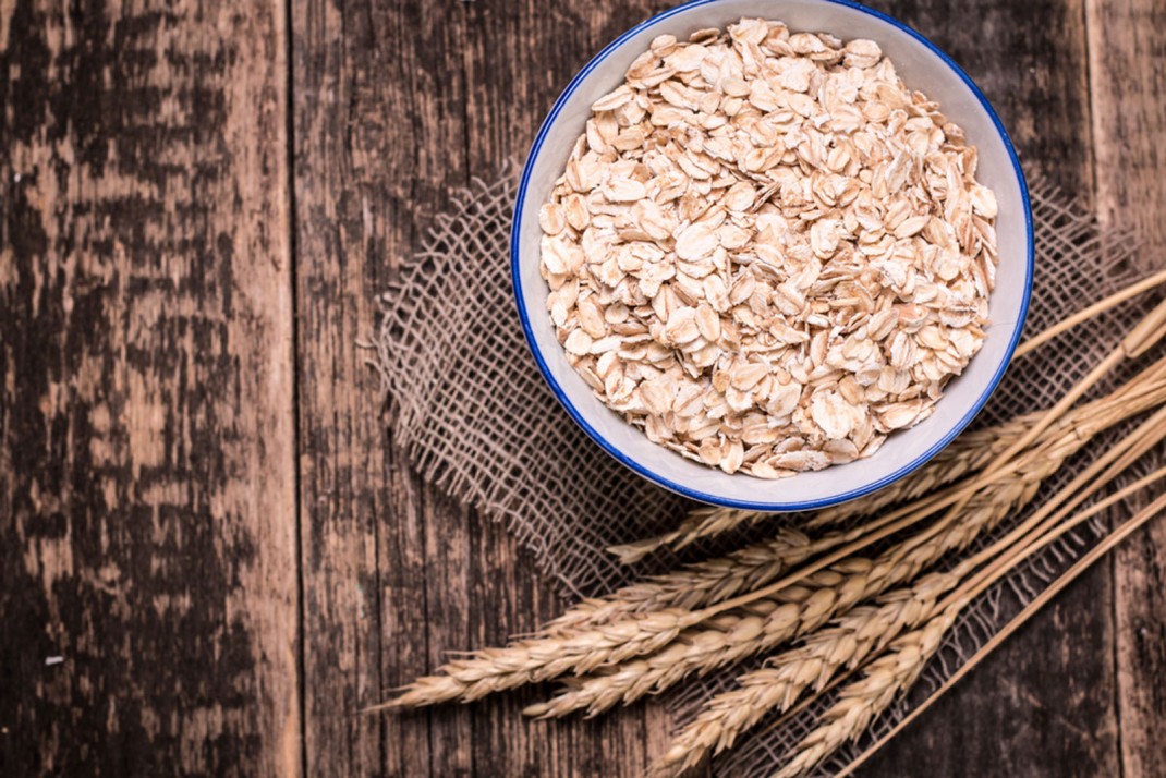 Avena Avena