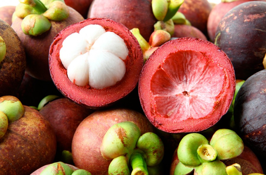 5 piante bruciagrassi, dall’arancio amaro alla garcinia