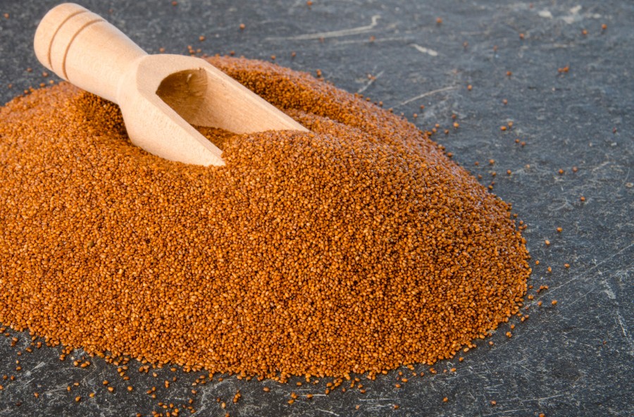 Teff, un cereale prezioso per la linea