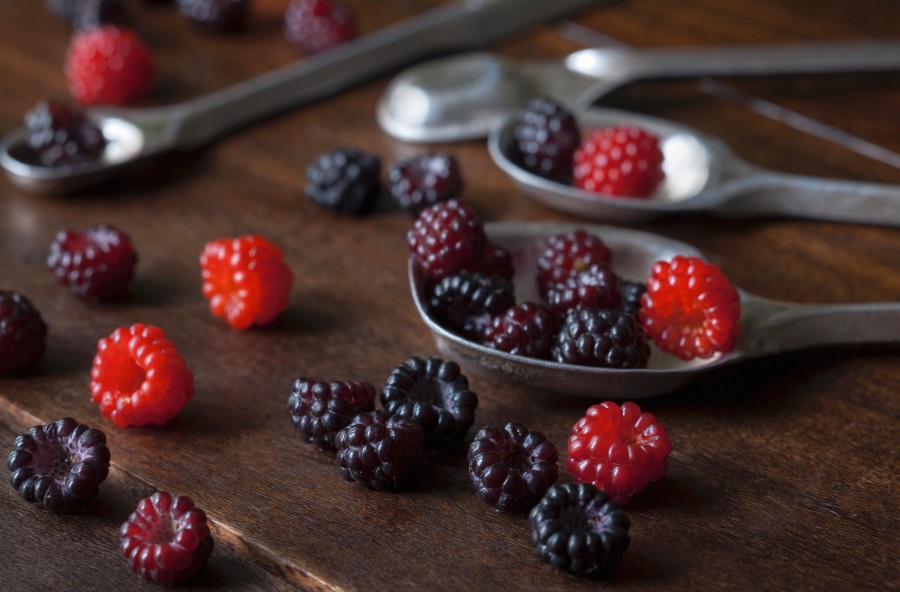 Frutti di bosco: lo spezzafame che rafforza le difese e contrasta le rughe