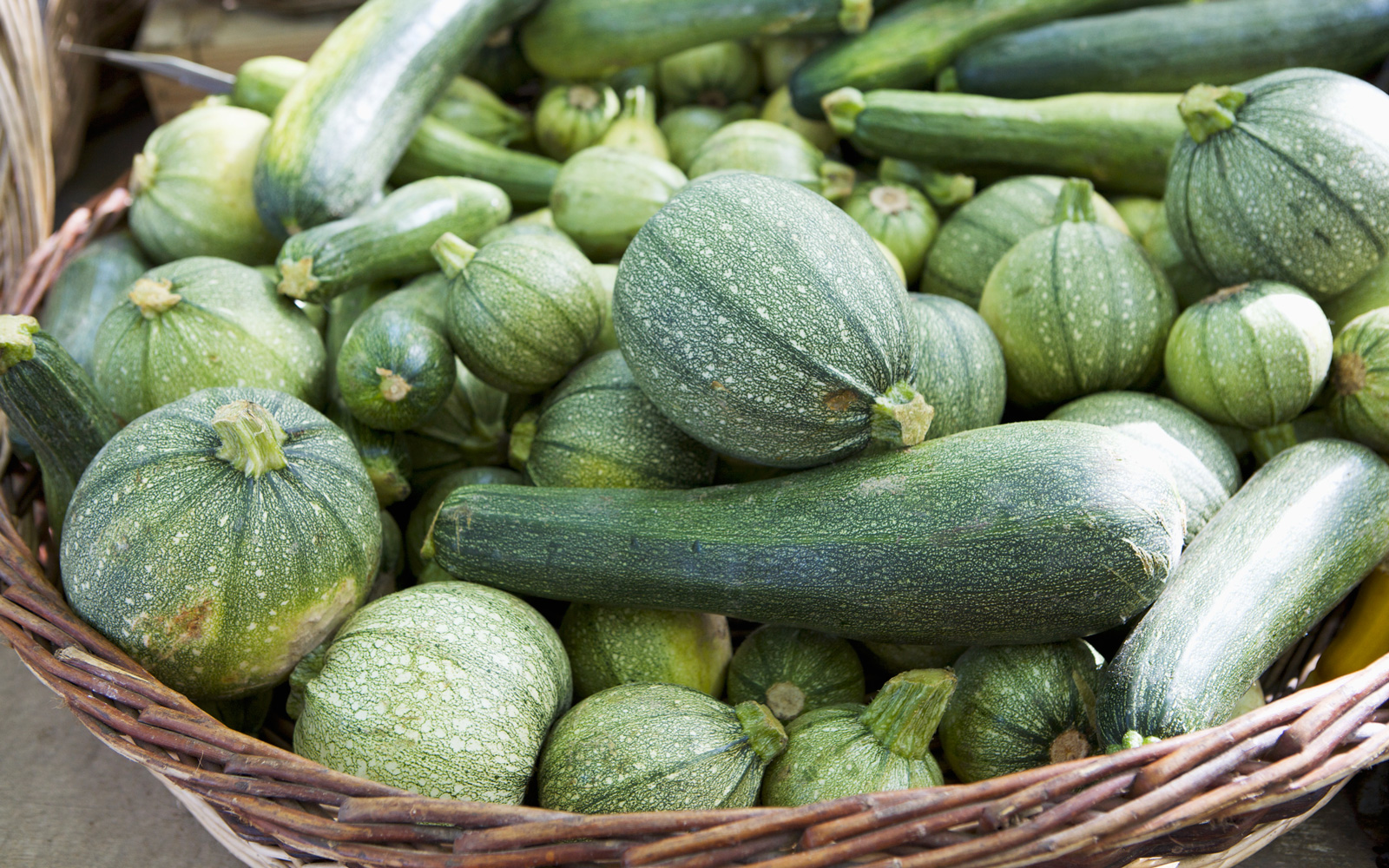 zucchine di diverse varietà zucchine di diverse varietà