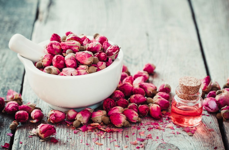 Smagliature e cicatrici da acne: rigenera la pelle con l’olio di rosa mosqueta Smagliature e cicatrici da acne: rigenera la pelle con l’olio di rosa mosqueta