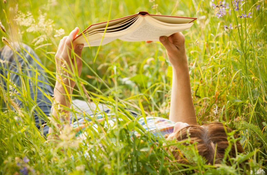 Zecche: un pericolo da cui difendersi