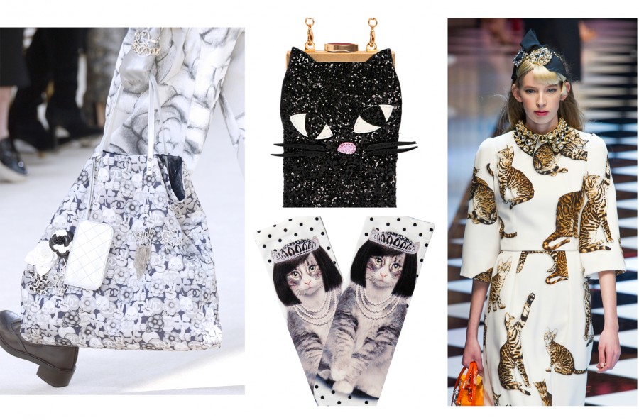 Gattomania: scopri il micro trend dell’autunno-inverno 2016/17
