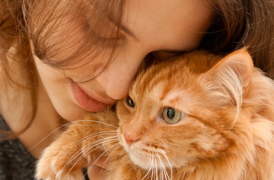 Gattoterapia: perché vivere con un gatto fa bene