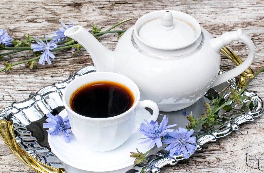 La dieta è più efficace con l’infuso di cicoria