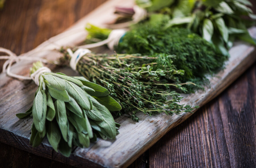 Erbe aromatiche: i benefici che non ti aspetti