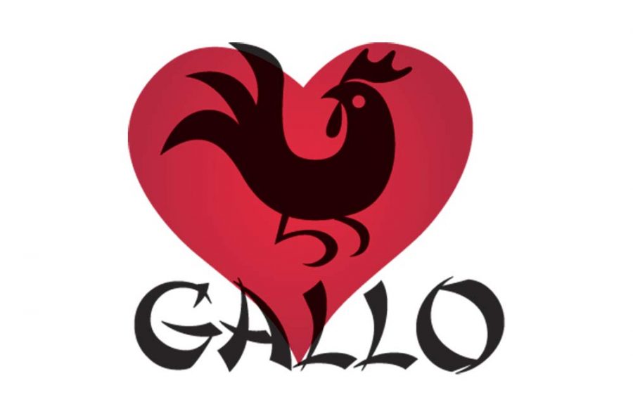 Il Gallo