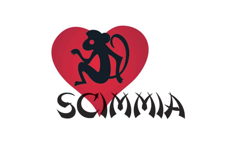 scimmia scimmia