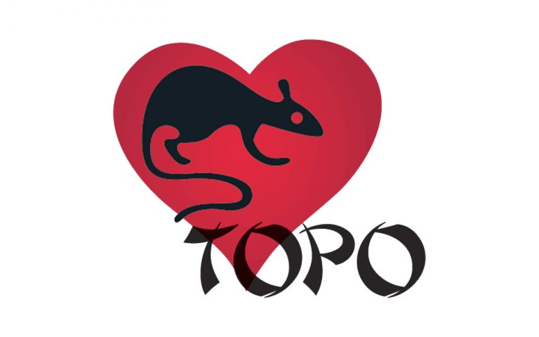 topo topo