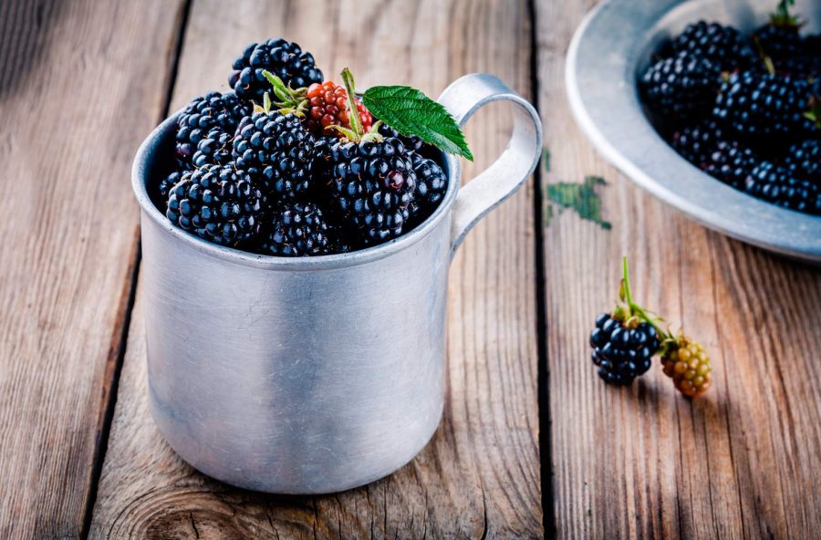 Gelso nero, il rimedio detox per chi è a dieta