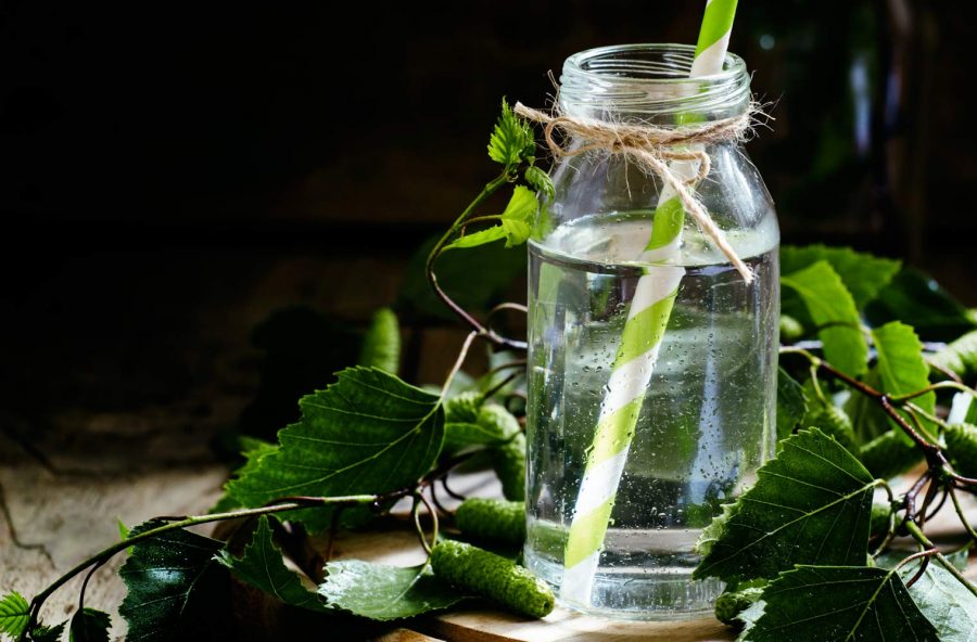 Plant waters: la nuova moda dei drink a base di linfa
