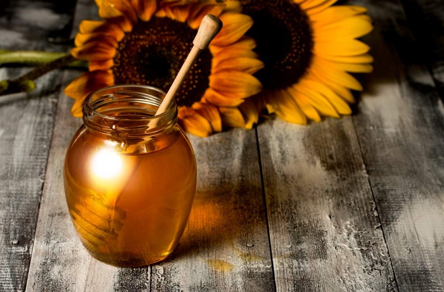Miele di girasole per tenere il colesterolo sotto controllo Miele di girasole per tenere il colesterolo sotto controllo