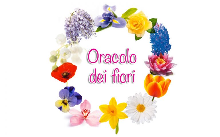 cerchio-fiori cerchio-fiori