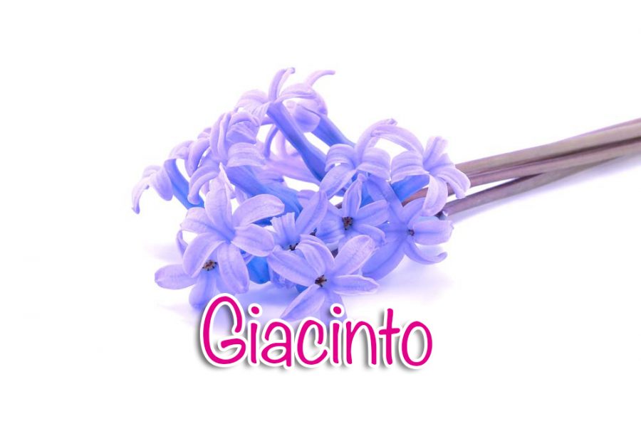 Giacinto