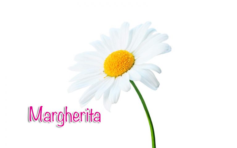 margherita margherita