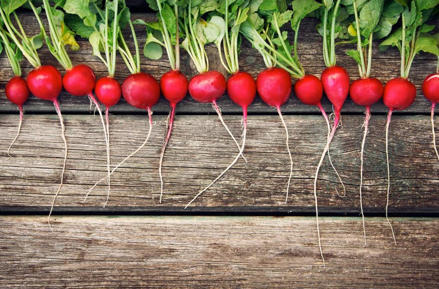 Ravanelli per un antipasto detox