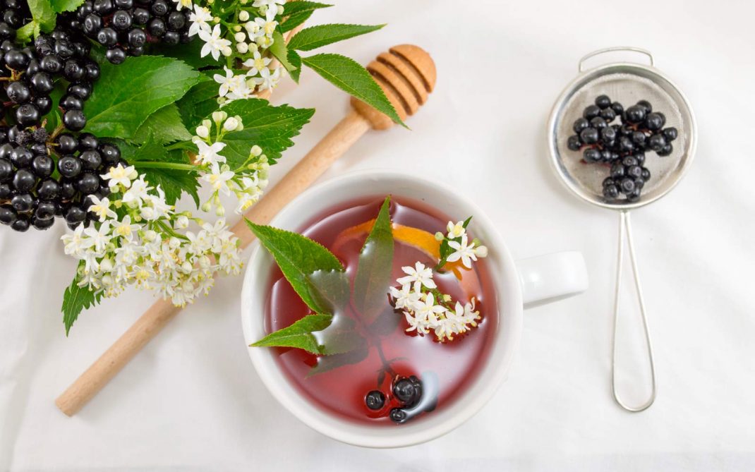 sambuco -tisana sambuco - tisana