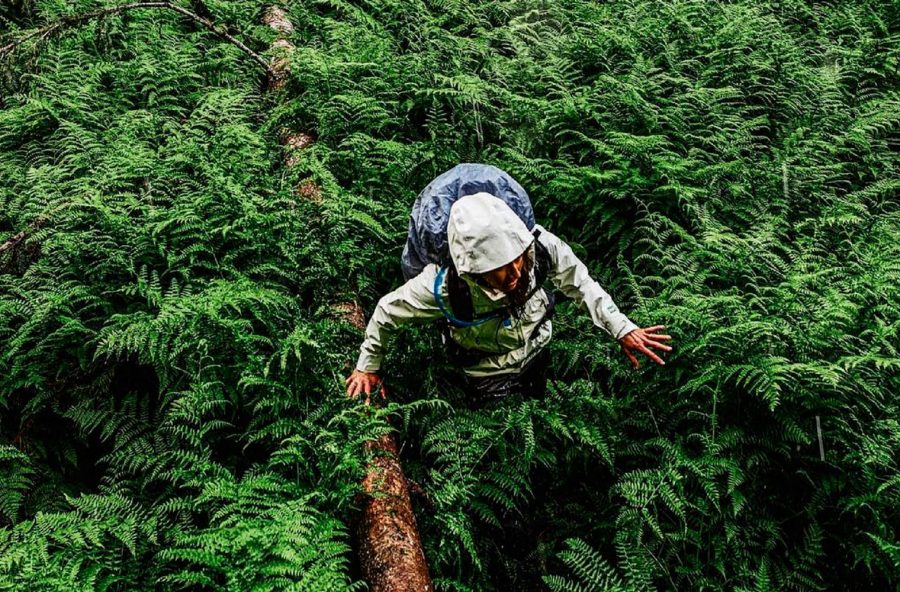 Activewear tecnico? Sì, ma “green”