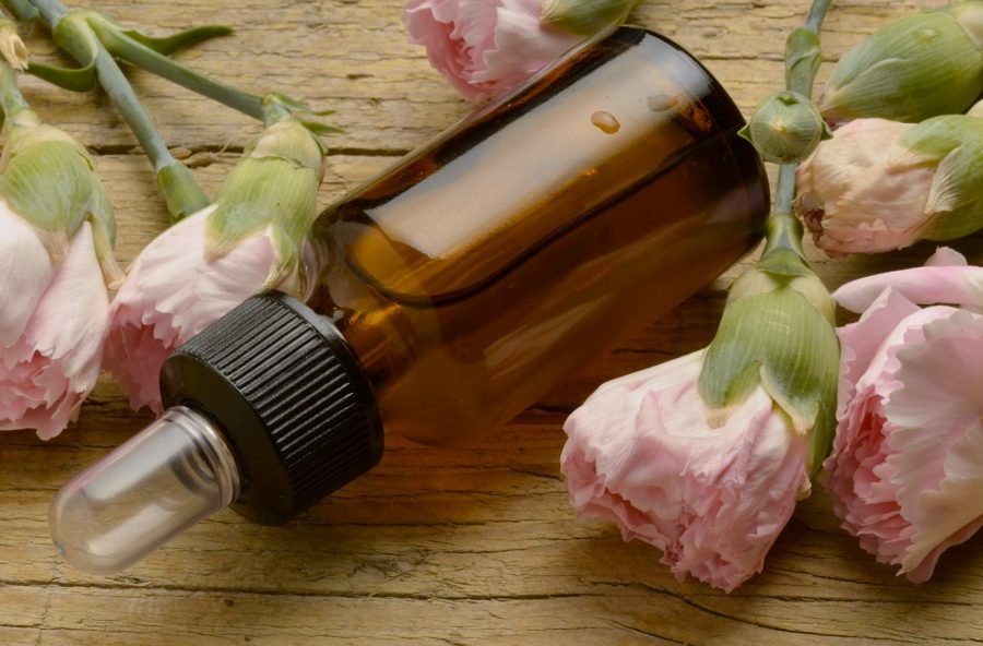 Dolci sonni con i garofani