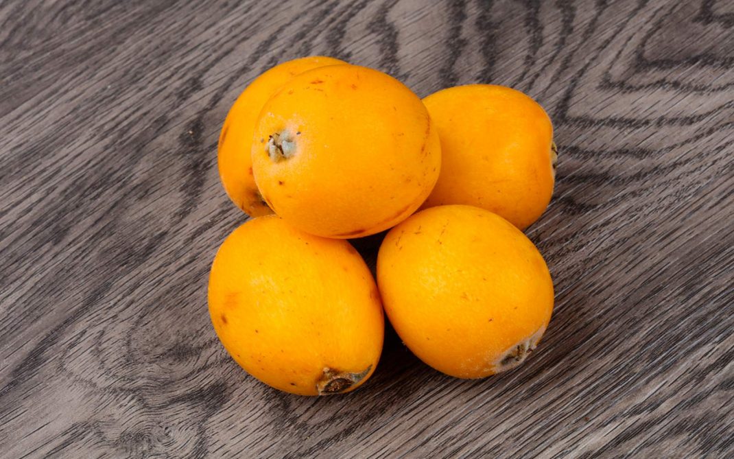 nespole nespole