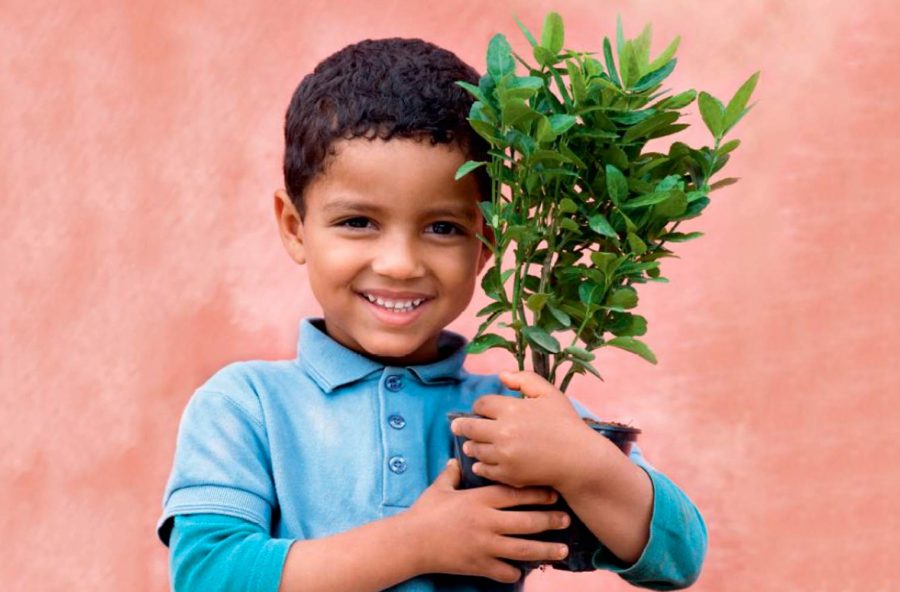 Campagna “Piantiamo per il pianeta”: al via il 2° obiettivo