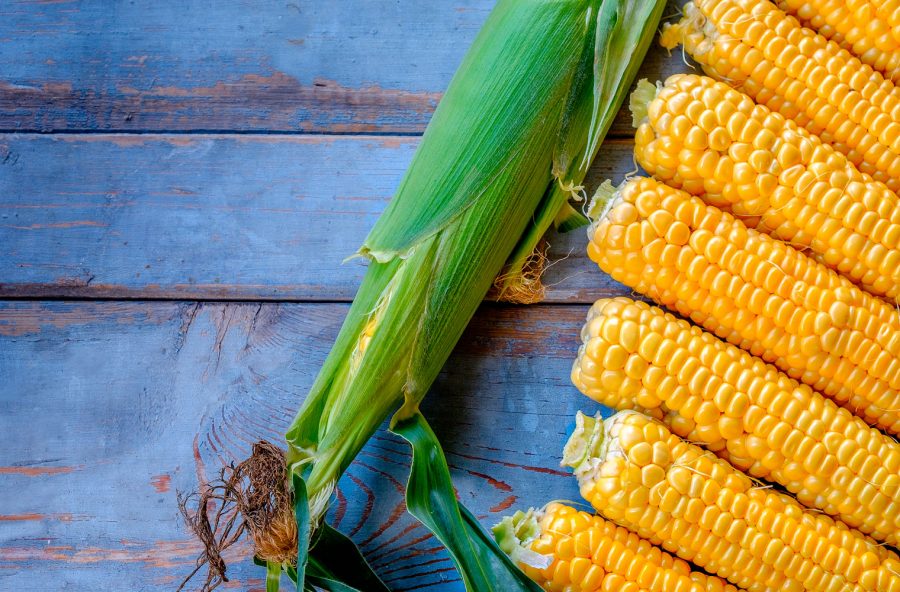 Dimagrire è più facile con il gemmoderivato di mais