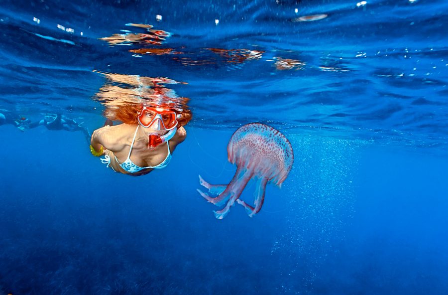 Punture di meduse, cosa fare subito dopo