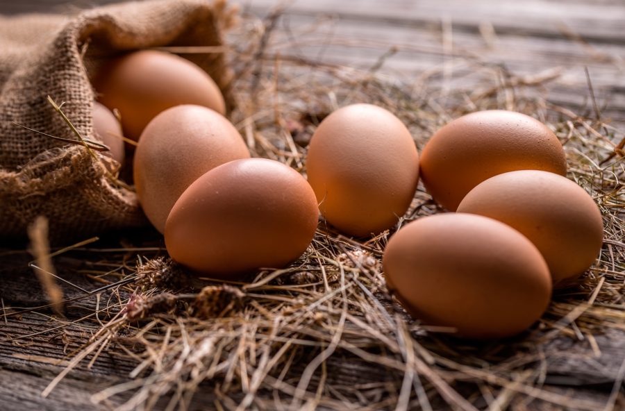 Uova contaminate: facciamo il punto