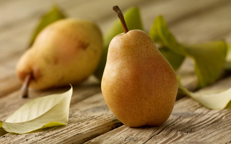 pere pere