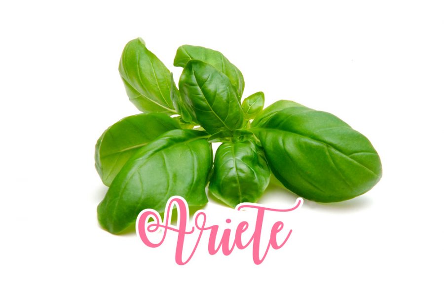 Ariete: basilico, corroborante e forzuto