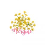 finocchietto-vergine