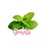 menta-gemelli