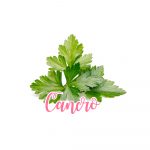 prezzemolo-cancro
