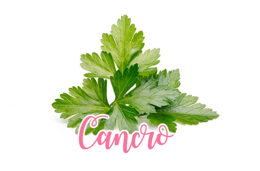 Cancro: prezzemolo, onnipresente amico della linea