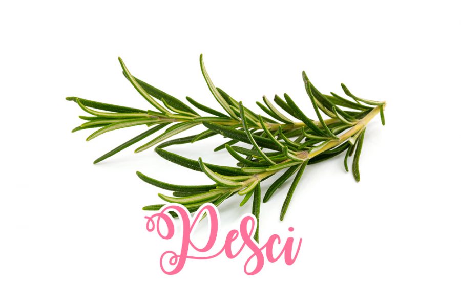 Pesci: rosmarino, mistico (per affogare la lacrima)