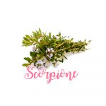 santoreggia-scorpione