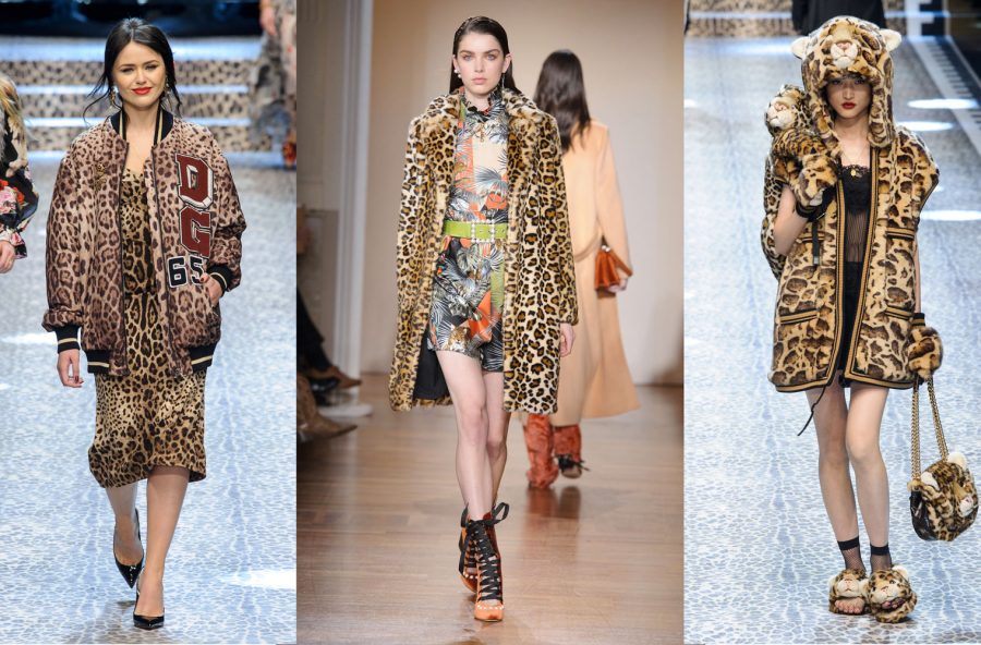 Trend moda, stampe animalier per uno stile ruggente