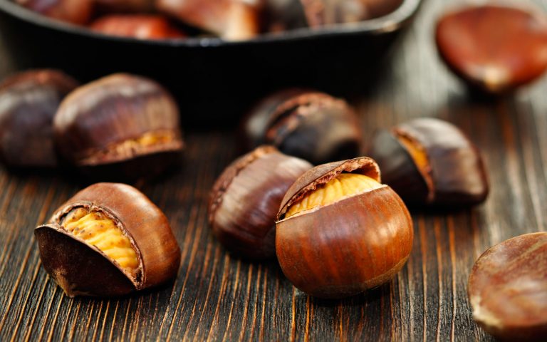 castagne castagne